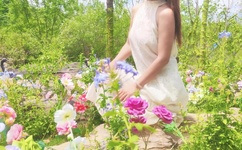 草莓视频色多多